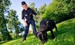 Un câine-poliţist, antrenat să depisteze spermă, a ajutat la prinderea unui violator