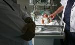 Şocant. Nou-născut descoperit mort într-un tomberon în Mioveni. Al doilea caz în doar două săptămâni