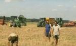 Bătaie pe ogor, la Feteşti: Două grupuri de muncitori s-au luat la pumni şi s-au urmărit cu tractoarele