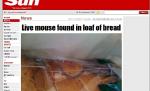 Australia. Un șoarece viu, găsit într-o pâine înfoliată dintr-un supermarket