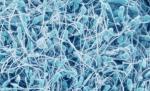 Tratament pentru bărbaţii infertili? Oamenii de ştiinţă din Japonia au reuşi să creeze spermă artificială