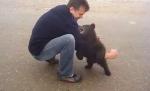 Un bărbat din Rusia a fost "atacat" de un pui de urs cu chef de joacă