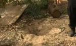 Criminalul din Ungaria care şi-a îngropat victimele de vii, membru al unei grupări paramilitare sârbe