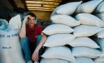 Grâul a rămas ultima speranţă, după ce exporturile României au scăzut simţitor