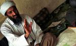 "Răzbunare pentru şeicul Osama bin Laden", campanie de 100 de atentate al-Qaida