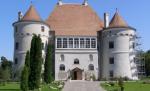 Un castel din Sălaj, transformat în adăpost pentru cai