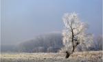 Harghita. A căzut prima brumă, iar temperatura în zori a fost de un singur grad Celsius