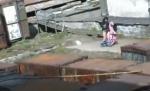 Atac şocant: Un urs polar muşcă de cap o femeie chiar în curtea casei