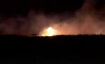 Incendiu în Biosfera Deltei Dunării: 15 hectare de vegetaţie, din Razelm-Sinoie, cuprinse de flăcări