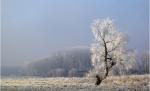 Prima temperatură negativă din această toamnă: minus 0,1 grade Celsius