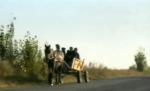 Copiii unei şcoli din Mehedinţi merg la şcoală cu căruţa