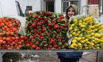 Razii în Piaţa Coşbuc din Capitală. Sunt verificate actele mărfurilor vânzătorilor de flori