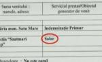 "Perlele" gramaticale ale politicienilor români, scoase la iveală de declaraţiile de avere 