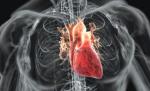 România, pe locul 3 în lume în ceea ce priveşte mortalitatea din cauze cardiovasculare
