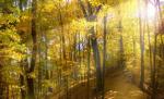 Temperaturi de vară şi secetă, până la finalul lunii septembrie. Vezi prognoza meteo
