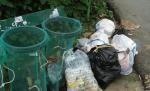 Curăţenie generală în România: Zeci de voluntari de la o firmă de pază au participat la acţiunea de ecologizare