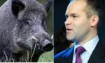 Un porc mistreţ l-a băgat pe Funeriu în sperieţi: Animalul, lovit de avionul în care se afla ministrul