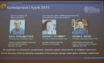 Premiul Nobel pentru Fizică s-a acordat pentru studiul expansiunii universului şi al supernovelor 