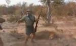 Video incredibil: Un vânător este doborât la pământ de leul vânat, dar scapă cu viaţă. Vezi cum a fost posibil