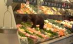 Un pui de urs dă iama în stand-ul de fructe dintr-o alimentară, în Alaska