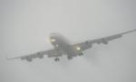 Două curse aeriene din Cluj au fost anulate şi altele două au întârzieri din cauza ceţii