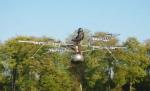 Multicopterul, testat de germani: Scaunul zburător al viitorului, manevrabil ca o maşină