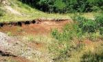 De la dinozauri pitici, la uriasul cu aripi: Geoparcul Dinozaurilor Tara Hategului