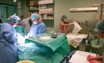 România. Creşte numărul copiilor cu boli de inimă, dar nu avem bani pentru operaţii
