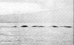Monstrul din Loch Ness există... în Canada. Vezi un clip care pare a dovedi asta