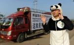 Un plan care nu miroase bine: Vrea să facă ceai din excremente de panda