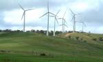 De astăzi vântul va aduce bani în România. La Suceava începe construcţia celui mai mare parc eolian