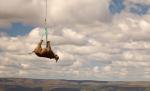 Operaţiunea "Rinocerii Zburători": 19 exemplare din Africa de Sud, mutate din bătaia puştii pe calea aerului