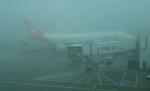 Aeroporturile din Londra, blocate de ceaţă. Sute de zboruri au fost anulate 