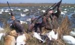 Liber la vânătoare în Delta Dunării. ONG-urile sunt îngrozite de noua propunere