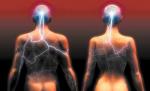 Sexul va deveni electronic până în 2030