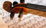 Boala vacii nebune opreşte producţia de coarde muzicale veritabile. Vezi explicaţia oficialilor europeni 