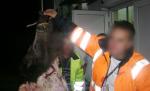 Au făcut pomana porcului pe aeroport. Acum sunt cercetaţi penal pentru că au mâncat mistreţul lovit de avion