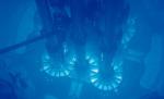 Scurgere radioactivă la o centrală nucleară din Japonia