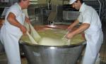 Producătorul de lactate Prodlacta Braşov a intrat în insolvenţă