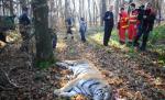 Uciderea tigrului scăpat din Grădina Zoologică, condamnată de şeful ITM Sibiu: O deficienţă crasă