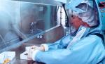Europa, în alertă! Un laborator olandez a creat o tulpină mortală a virusului gripei aviare 