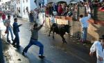 Singurii care ştiu sigur că vor scăpa cu viaţă sunt taurii! Coridele pentru amatori din Columbia au făcut primele victime