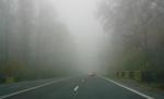 Avertizare de ceaţă în mai multe judeţe din ţară. Vezi zonele afectate şi prognoza meteo