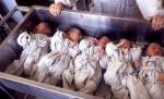 Au 8 copii, deşi ţara nu le dă voie decât la unul. Vezi cum au fost PEDEPSIŢI doi soţi chinezi