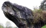 Piatra Broastei sau calcarele cretacice de la Cisnadioara
