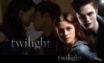 Twilight şi Kung Fu Panda 2, cele mai vizionate filme din 2011