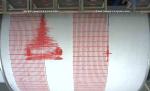 Japonia, zguduită de un cutremur de 7 pe scara Richter, în prima zi a anului 2012