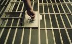Fiul şefului vămii de la Porţile de Fier I, arestat pentru 29 de zile. El a tras cu o puşcă în mai multe maşini
