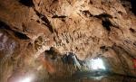 Pestera Polovragi, caverna care si-a schimbat iluminatul pentru lilieci   
