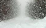 Avertizare de ninsori viscolite, până sâmbătă seara. Vezi prognoza meteo de week-end
